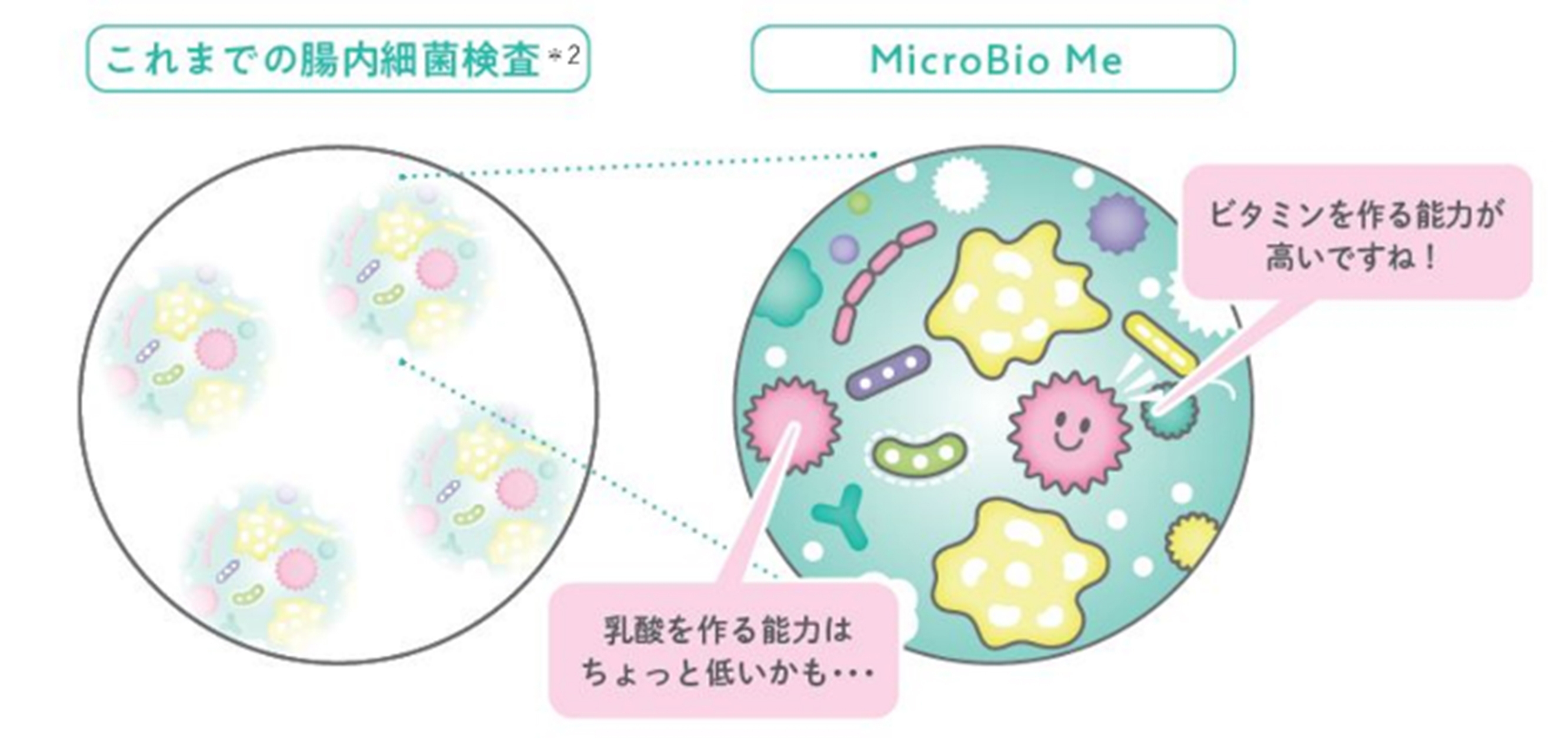 マイクロバイオミーの特徴